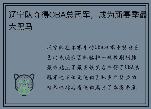 辽宁队夺得CBA总冠军，成为新赛季最大黑马
