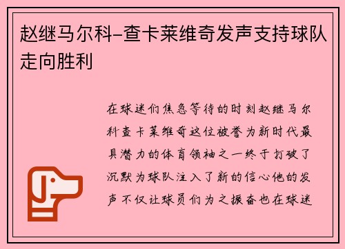 赵继马尔科-查卡莱维奇发声支持球队走向胜利
