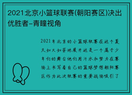 2021北京小篮球联赛(朝阳赛区)决出优胜者-青瞳视角