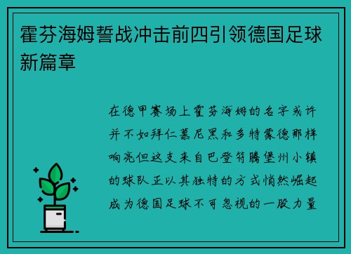 霍芬海姆誓战冲击前四引领德国足球新篇章