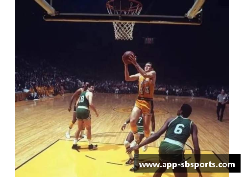 NBA白人球员：纵览历史与现实的巅峰表现