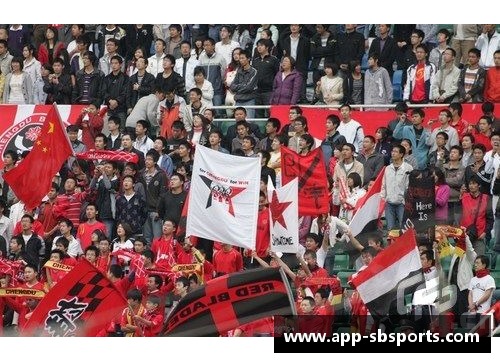 sb体育官网浙江稠州队球迷狂热助威，球队士气大振 - 副本