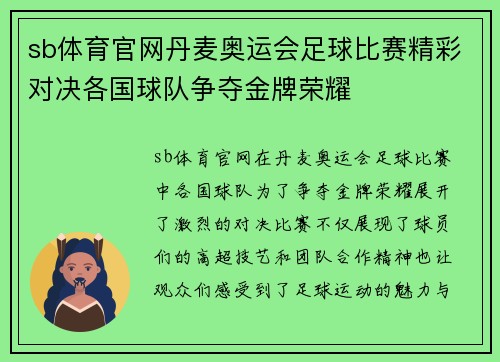 sb体育官网丹麦奥运会足球比赛精彩对决各国球队争夺金牌荣耀