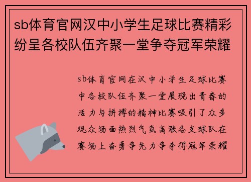 sb体育官网汉中小学生足球比赛精彩纷呈各校队伍齐聚一堂争夺冠军荣耀